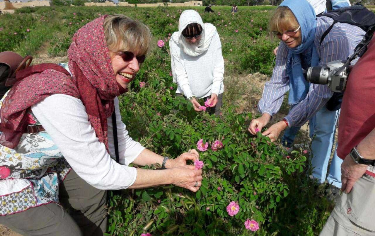 فراخوان عمومی طرح تقاضا محور داخلی سفارش پژوهشکده اسانس عنوان اکوتوریسم علمی