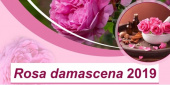 University of Kashan to Hold International Conference on Rosa Damascena 2019