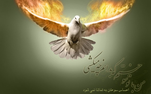 مناسبت