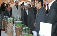 گشایش نخستین جشنواره گیاهان زیست فناوری دانشگاه کاشان