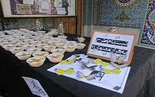 خانم نصیری : زن محور حقیقی یک جامعه .
