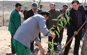 کارکنان دانشگاه کاشان ۵۰۰ اصله نهال غرس کردند