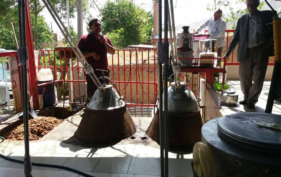 گزارش تصویری اردوی بازدید گلاب گیری زیارت امامزاده پیرداوود (ع) قمصر