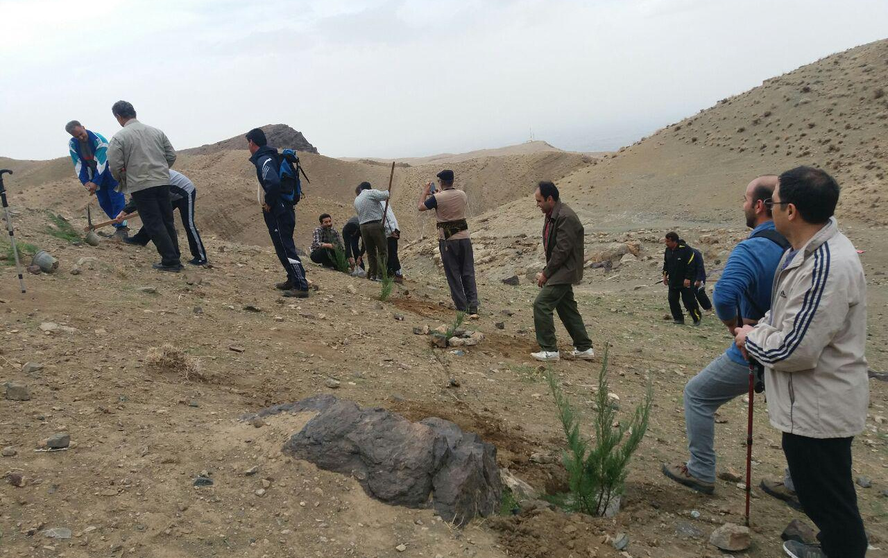 گزارش تصویری کاشت درخت کارکنان دانشگاه کاشان دامنه کرکس