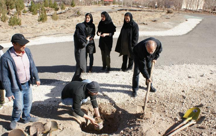 ۱۰۰اصله عناب بادام پژوهشکده اسانس قمصر دانشگاه کاشان کاشته شد