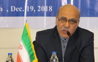 قائم مقام وزیر علوم: تعاملات بین المللی انجام پروژه های تحقیقاتی مشترک گام توسعه علمی
