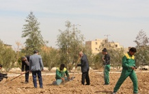 کاشت حدود ۳۰۰۰ اصله نهال همزمان هفته منابع طبیعی دانشگاه کاشان