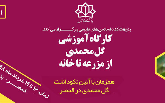 کارگاههای آموزشی گل محمدی ۲
