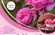 دومین کنفرانس بین المللی گل محمدی پژوهشکده اسانسهای طبیعی دانشگاه کاشان برگزار می شود