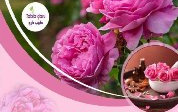 مهلت ارسال چکیده مقاله دومین کنفرانس بین المللی گل محمدی تا سوم آبان تمدید شد