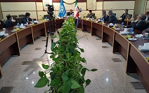 تبیین تحلیل تحولات سیاسی منطقه، سوی دیپلمات ارشد جمهوری اسلامی ایران