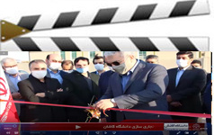 شرکتهای دانش بنیان کاشان شکوفا شده اند