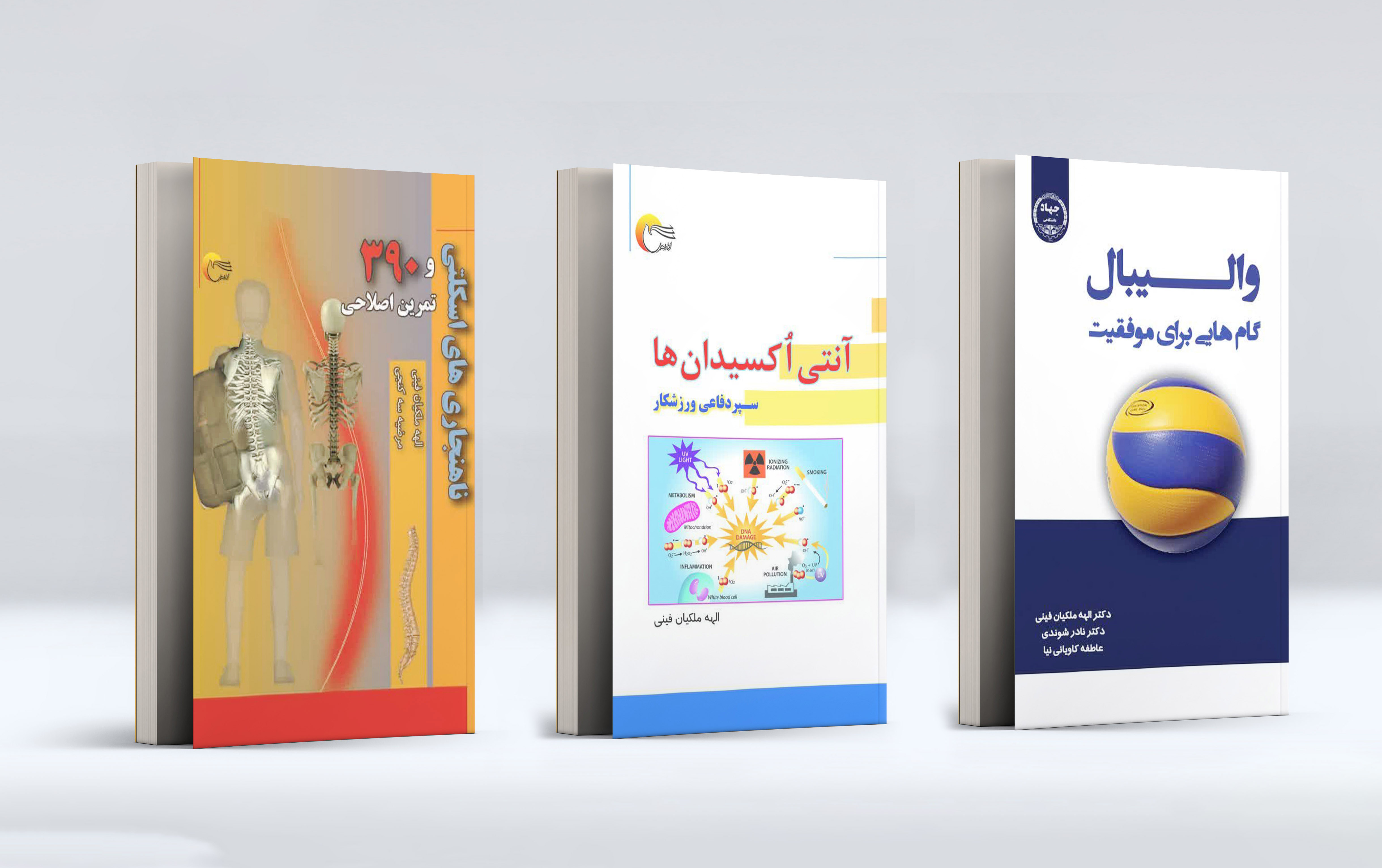 همکاران پرتلاش میدان علم ورزش
