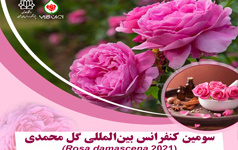 سومین کنفرانس بین المللی گل محمدی پژوهشکده اسانس های طبیعی دانشگاه کاشان برگزار می شود