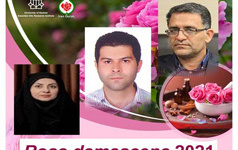 مهلت ارسال مقاله سومین کنفرانس بین المللی گل محمدی تمدید شد