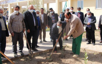 کاشت حدود ۵۰۰ اصله نهال همزمان روز درختکاری هفته منابع طبیعی دانشگاه کاشان