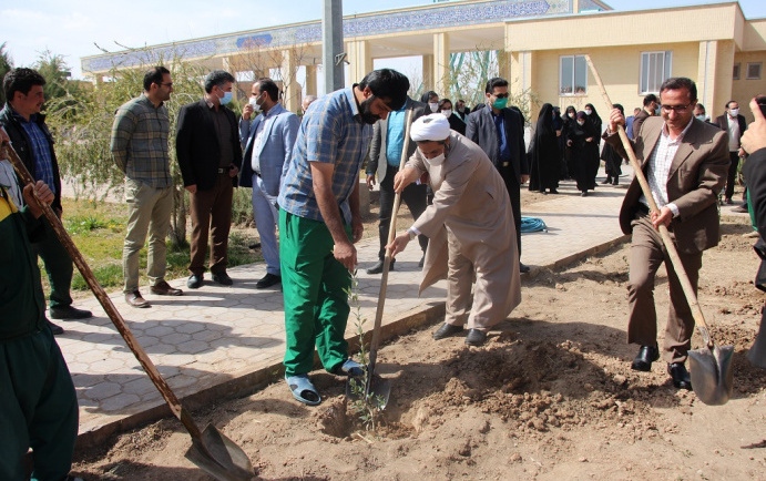 کاشت نهال همزمان روز درختکاری هفته منابع طبیعی دانشگاه کاشان