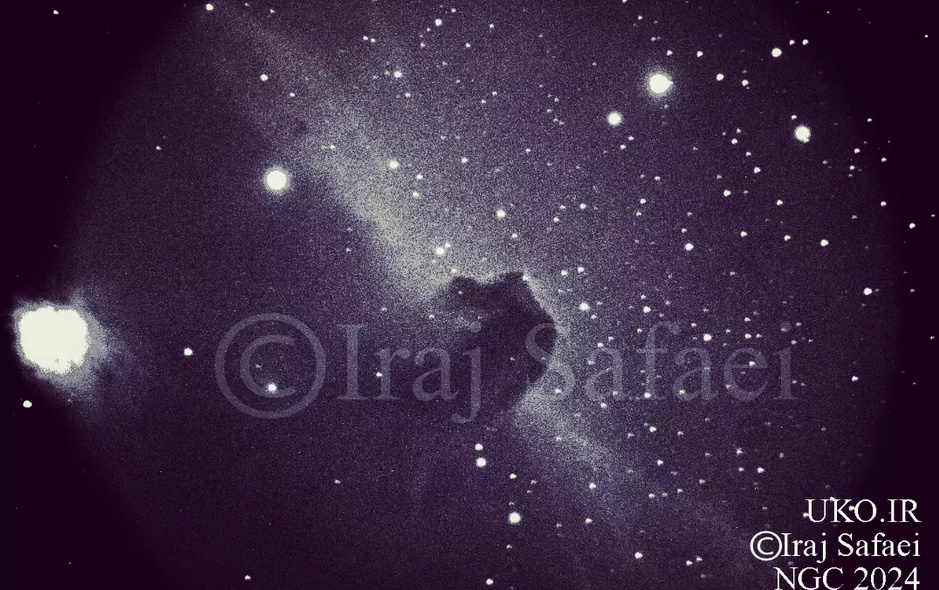 تصویربرداری تک‌رنگ ابرگونه سرِ اسب توسط ایرج صفایی رسدخانه دانشگاه کاشان