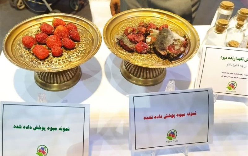 افزایش ماندگاری میوه‌جات تا چندین ماه اختراع نانویی گروه کیمیاگستر ایرانیان