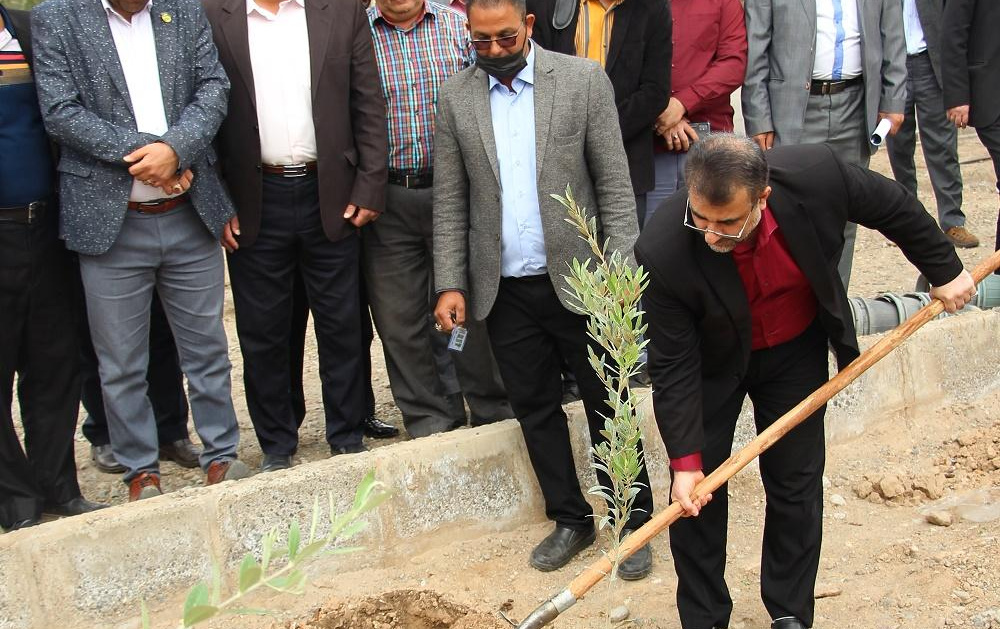 بزرگداشت مراسم روز درختکاری