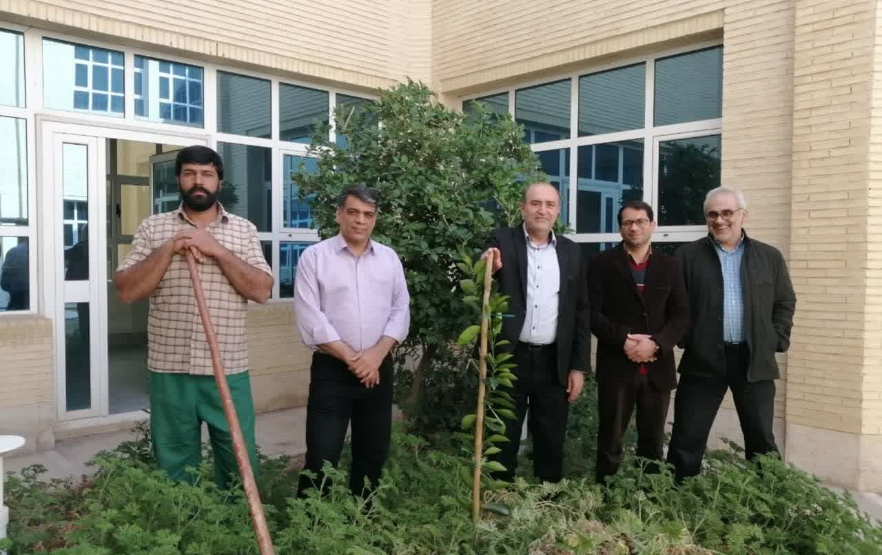 درختکاری