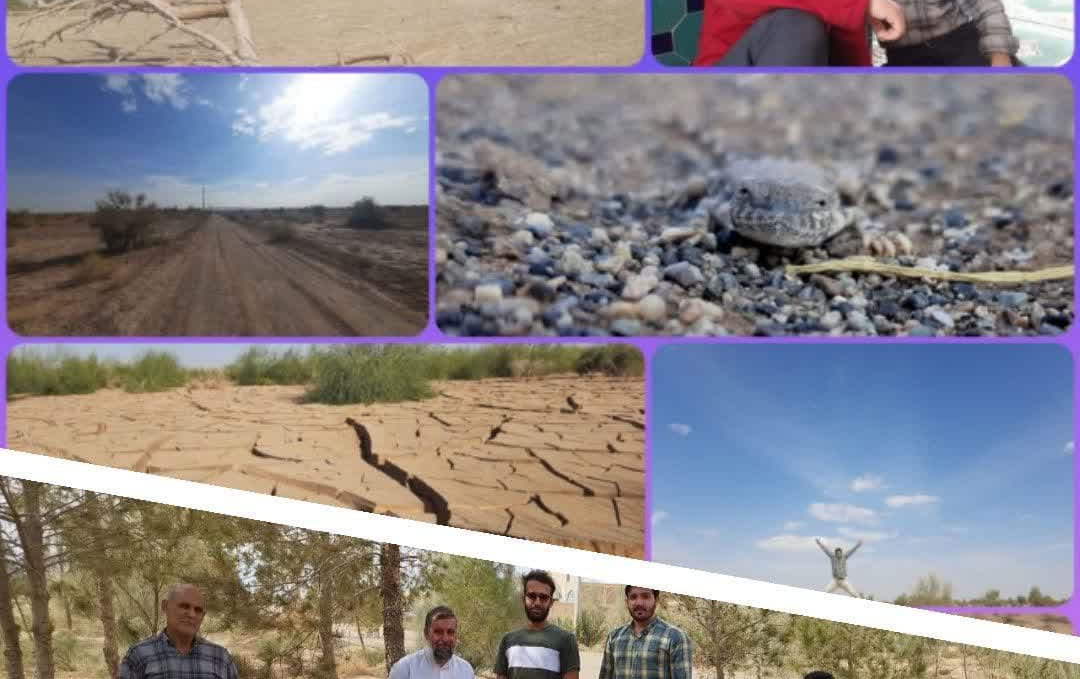برگزاری اردوی یک روزه دانشجویان طرح حامیم کویر