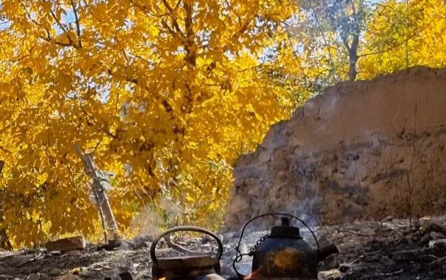کوهگشت روستای نشلج ویژه دختران دانشگاه برگزار شد