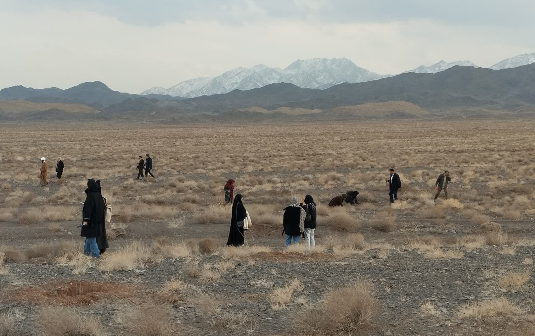 پویش نهالکاری توسط دانشجویان دانشگاه کاشان بمناسبت هفته منابع طبیعی وآبخیزداری