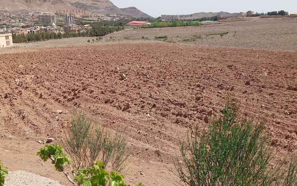 آغاز عملیات راه‌اندازی مزرعه اقتصادی-تحقیقاتی گیاهان دارویی پژوهشکده اسانس