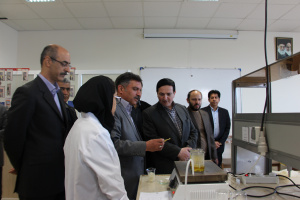 بازدید رئیس دانشگاه کاشان از برگزاری دوازدهمین المپیاد فرش دستباف کشور