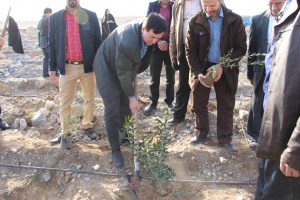 گزارش تصویری مراسم روز درختکاری در دانشگاه کاشان