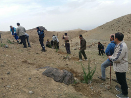 گزارش تصویری کاشت درخت کارکنان دانشگاه کاشان در دامنه کرکس