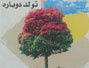 انتشار کتاب "تولد دوباره" مجموعه مقالات عرفانی و ادبی دکتر علی حسین پور
