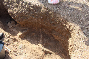 ۱۲گور چکمه ای و بقایایی از دوره برنز تا آهن در کاوش های باستان شناسی محوطه استرک -جوشقان کاشان کشف شد