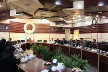 برگزاری دومین جلسه کارآفرینی روستایی
