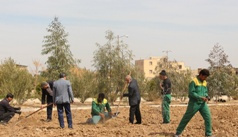 کاشت حدود ۳۰۰۰ اصله نهال همزمان با  هفته منابع طبیعی در دانشگاه کاشان