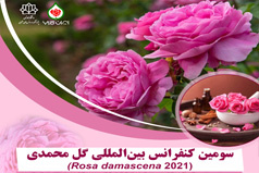 سومین کنفرانس بین المللی گل محمدی در پژوهشکده اسانس های طبیعی دانشگاه کاشان برگزار می شود
