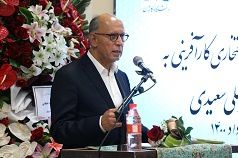 دکتر علی سعیدی:  تمام افرادی که در زمینه علمی و کار آفرینی خدمات به مردم ارائه می دهند، خیر هستند