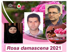 مهلت ارسال مقاله به سومین کنفرانس بین المللی گل محمدی تمدید شد