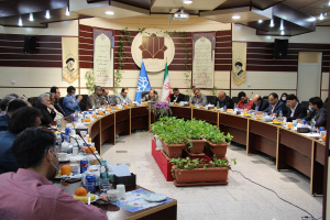 معاون آموزشی وزارت علوم: فعالیت های دانشگاهها باید بر اساس آمایش سرزمین شکل گیرد