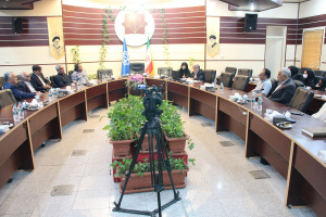 برگزاری اولین کرسی علمی در زمینه فرش دستباف ایران در دانشگاه کاشان