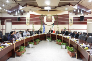 نشست رئیس دانشگاه کاشان با مدیر عامل سایپا سیتروئن