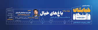 خیابان دانشگاه ۷