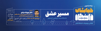 خیابان دانشگاه اربعین حسینی