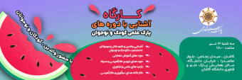 کارگاه