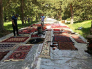 شستشو و حفاظت پیشگیرانه فرشها و دستبافته های بومی موزه سعد آباد توسط استاد و کارشناسان فرش دانشگاه کاشان