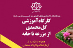 برگزاری کارگاههای آموزشی با موضوع گل محمدی و گلاب، برای گردشگران در پژوهشکده اسانس قمصر