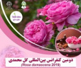 دومین کنفرانس بین المللی گل محمدی در پژوهشکده اسانسهای طبیعی دانشگاه کاشان برگزار می شود